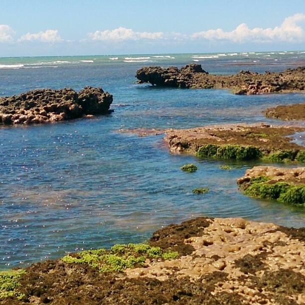 Caboco Sonhado Passeios Nauticos E Pousada Hotel Mundaú Eksteriør billede